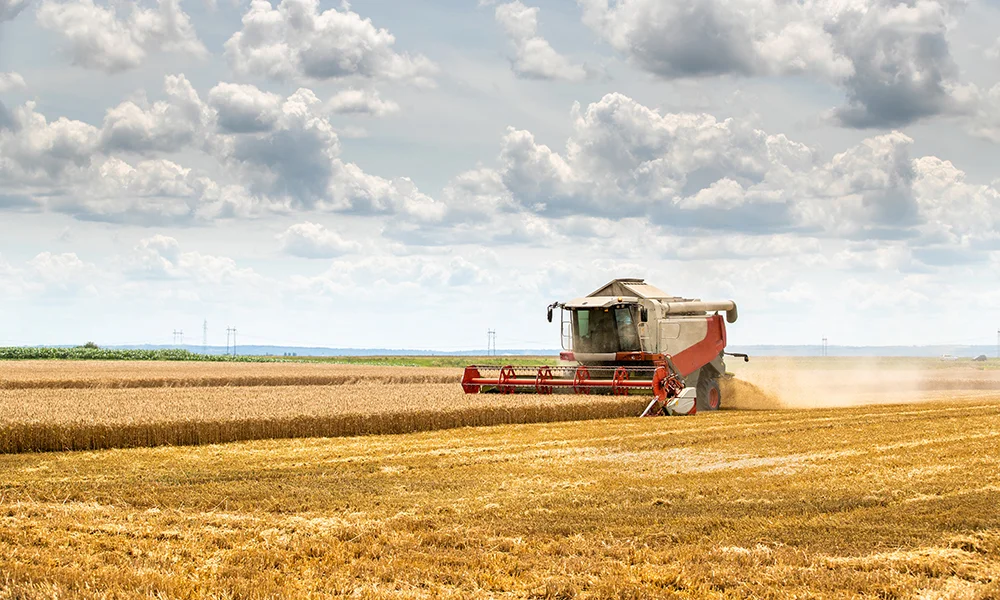 yield farming